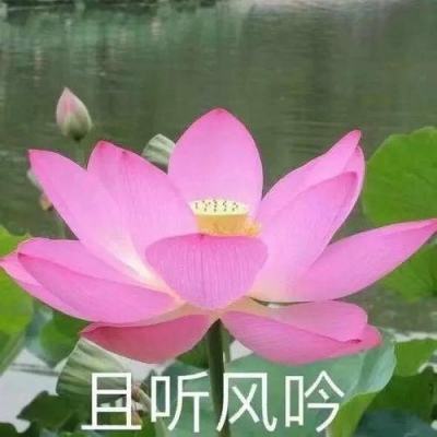 广州累计报告新冠阳性70例 封闭管理区18万人“禁足”